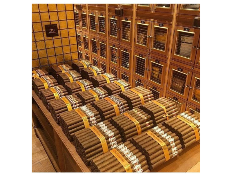 Vì sao phải ủ xì gà_ Cách ủ xì gà đúng cách